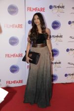 at Ciroc Filmfare Galmour and Style Awards in Mumbai on 26th Feb 2015